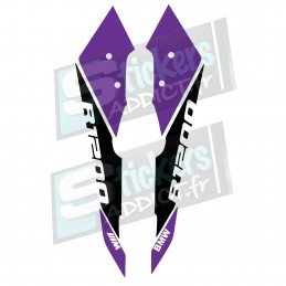 KIT DE STICKERS FACE AVANT/BEC BMW R1200GS ADVENTURE