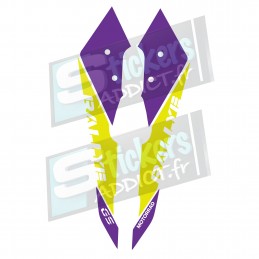 KIT DE STICKERS FACE AVANT/BEC RALLYE BMW R1200GS/R1250GS ADVENTURE