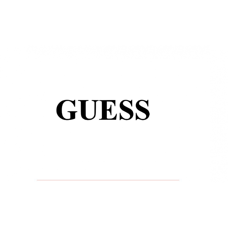 Stickers Guess Stickers Guess