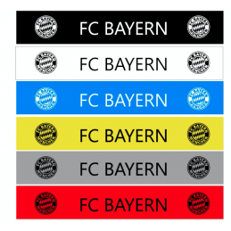 Bande pare Soleil FC Bayern